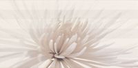 Декор Opoczno AVANGARDE WHITE INSERTO FLOWER