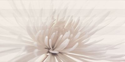 Декор Opoczno AVANGARDE WHITE INSERTO FLOWER OD352-001 30x60