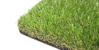Искусственная трава CCGrass Soft 35 для газона изображение 1