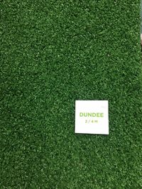 Штучна трава Condor Grass Dundee 45, 11/29st. зображення 3