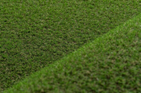 Штучна трава Betap TERRAZA зображення 1