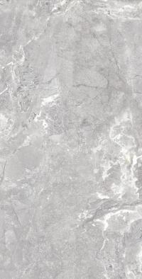 Плитка Allore Group Snake stone Silver 120x60 Mat