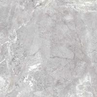 Плитка Allore Group Snake stone Silver 60x60