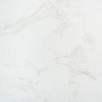 Плитка ATEM PRAIA Carrara 60x60
