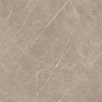 Плитка Baldocer Eternal Taupe 120x120