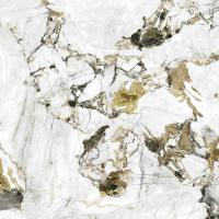 Плитка Geotiles Oyama Ambar Super Polished Rect 120x120