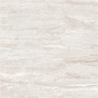 Плитка Raviraj INOX DYNA 60x60 polished