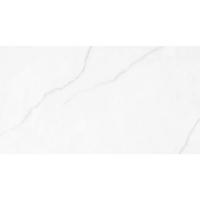 Плитка Rocersa Polar Silver Mat 60x120 RC