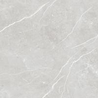 Плитка Tau Ceramica Elite Silver Pul 60x60