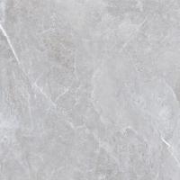 Плитка Teo Ceramics Aria Silver Mat 120x120