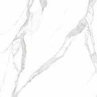 Плитка Teo Ceramics Carrara White F P Mat 60x60 изображение 2