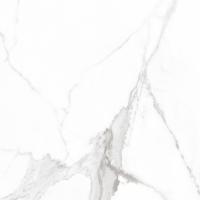 Плитка Teo Ceramics Carrara White F P Mat 60x60 изображение 7