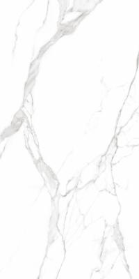 Плитка Teo Ceramics Carrara White F P R Full Lappato 60x120 изображение 1