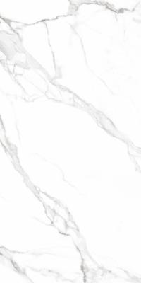 Плитка Teo Ceramics Carrara White F P R Full Lappato 60x120 изображение 3