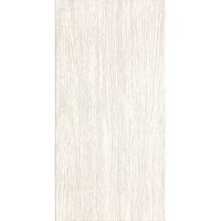 Плитка Zeus Ceramica SILK Rectified ZNXP41R изображение 1