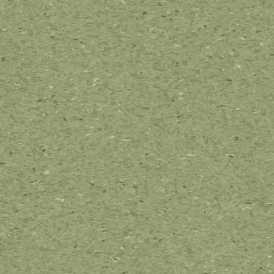Гомогенний лінолеум Tarkett IQ Granit FERN 0405