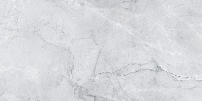 Плитка Opoczno LIORA GREY GLOSSY 30x60