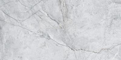 Плитка Opoczno LIORA GREY GLOSSY 30x60