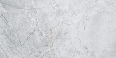 Плитка Opoczno LIORA GREY GLOSSY 30x60