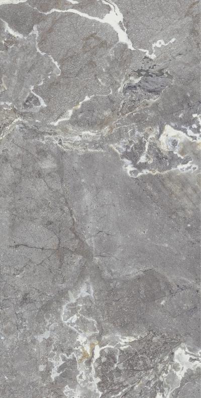Плитка Allore Group Snake stone Grey 120x60 Mat