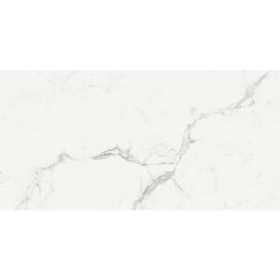 Плитка MARAZZI Marbleplay Statuarietto Rectificato 60x120 - M4L8
