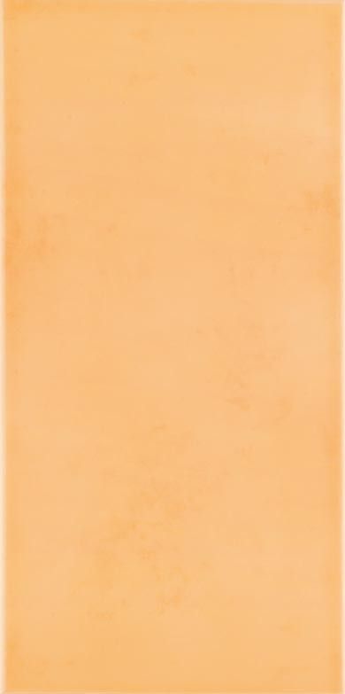Плитка Rako Tulip WATMB021 оранжевый
