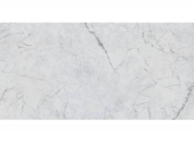 Плитка ROYAL MARBLE MPB-R373 Invisible pol 60x120