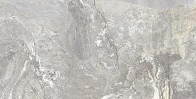 Плитка Teo Ceramics Magnifica Silver F P 60x120 R Sumat