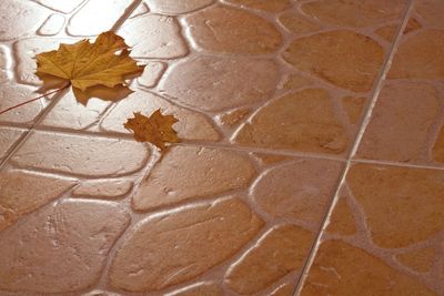 Плитка Cersanit Rufino беж підлога