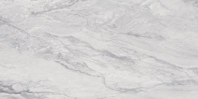 Плитка Opoczno SELEST GREY GLOSSY 30x60